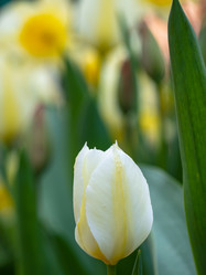 Similar image 21266395