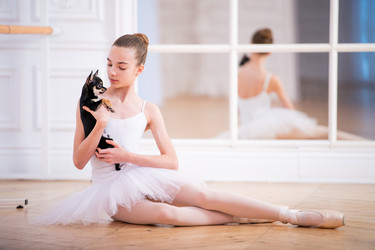 Similar image 21259769