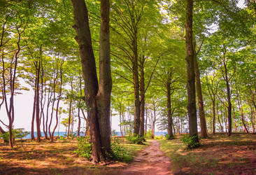 Similar image 21283417