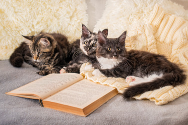 Similar image 21267213