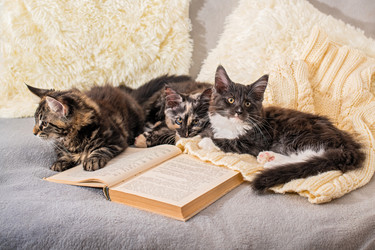 Similar image 21262601