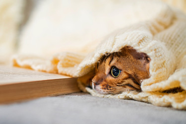 Similar image 21259793