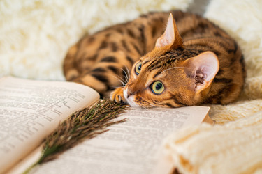 Similar image 21259795