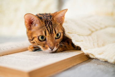 Similar image 21259797