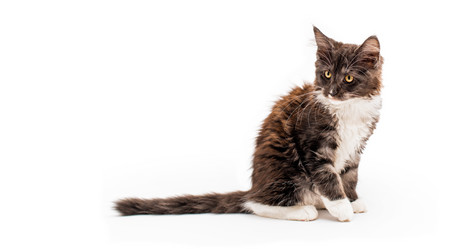 Similar image 21262604