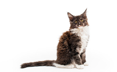 Similar image 21259800