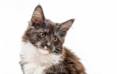 Similar image 21259801