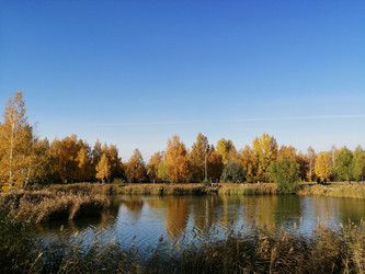 Similar image 21262396