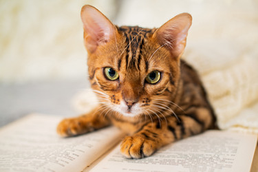 Similar image 21259802