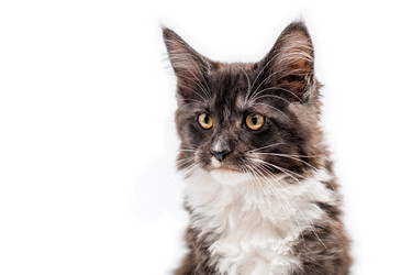 Similar image 21259992