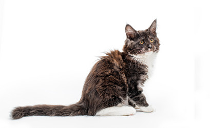 Similar image 21259859