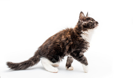 Similar image 21259860