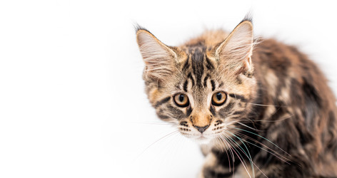 Similar image 21259864