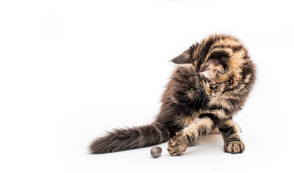 Similar image 21259868