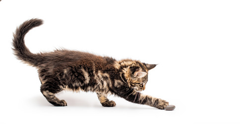 Similar image 21259870