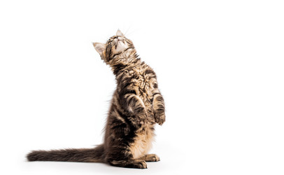 Similar image 21259994