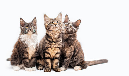 Similar image 21259999