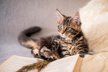 Similar image 21260023