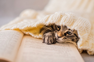 Similar image 21260024