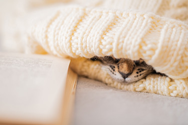 Similar image 21260025