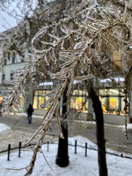 Similar image 21267225