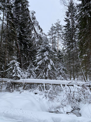 Similar image 21267227