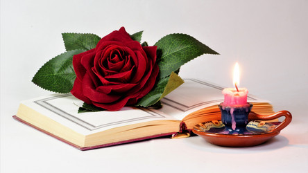 Similar image 21261236