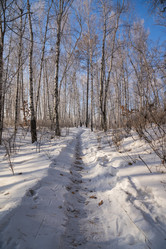 Similar image 21262469