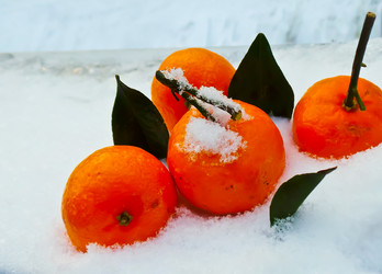 Similar image 21274014