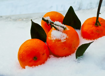 Similar image 21274016