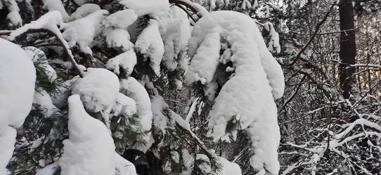 Similar image 21275094