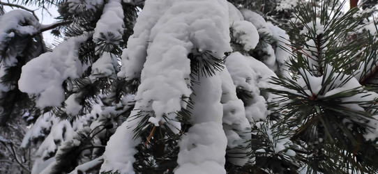 Similar image 21275095