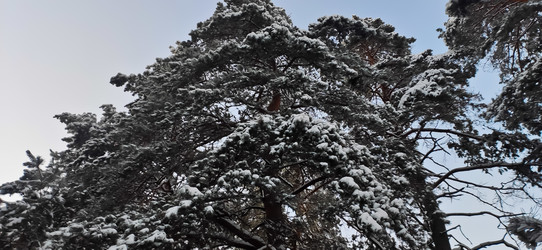 Similar image 21275097