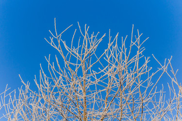 Similar image 21279785