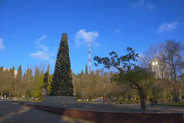 Similar image 21261248