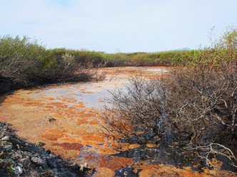 Similar image 21262424