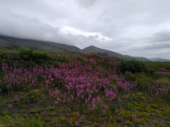 Similar image 21262426