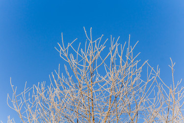 Similar image 21279787