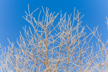 Similar image 21279788