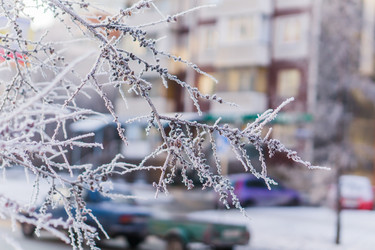 Similar image 21279795