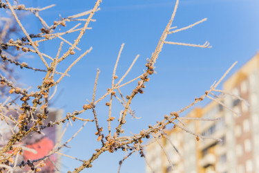 Similar image 21279797