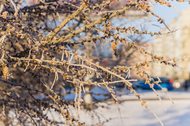 Similar image 21279798