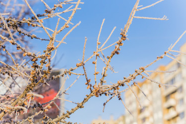 Similar image 21279799