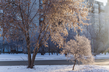 Similar image 21279801