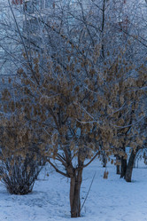 Similar image 21279803