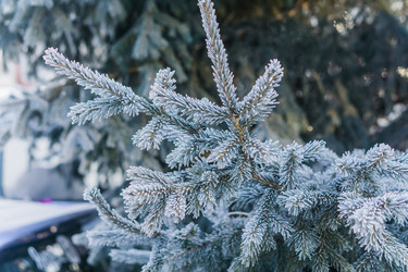 Similar image 21279804