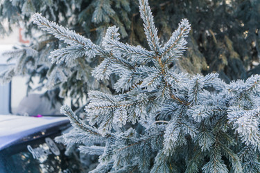 Similar image 21279805