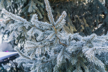 Similar image 21279806