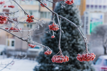 Similar image 21279807