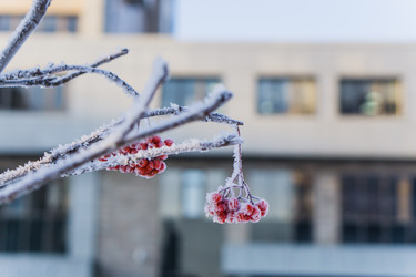 Similar image 21279808